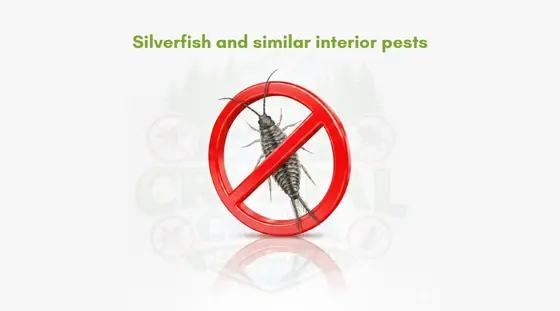Silverfish and similar interior pests