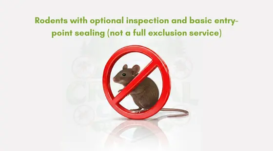Rodents with optional inspection and basic entry-point sealing